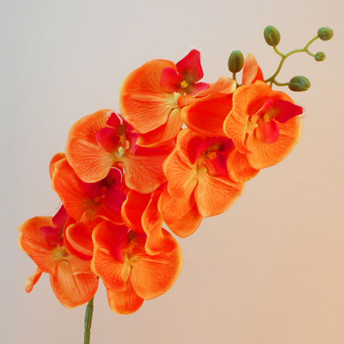 Artificial Phalaenopsis Orchid Orange Artificial Flowers